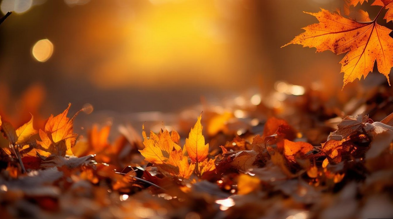 十月的人是什么星座?上旬天秤座下旬天蝎座,你属于哪个? 十月的人是什么星座?上旬天秤座下旬天蝎座,你属于哪个?