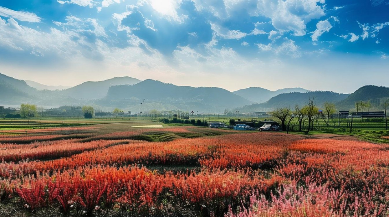 4月20阳历阴历是 4月20阳历阴历是