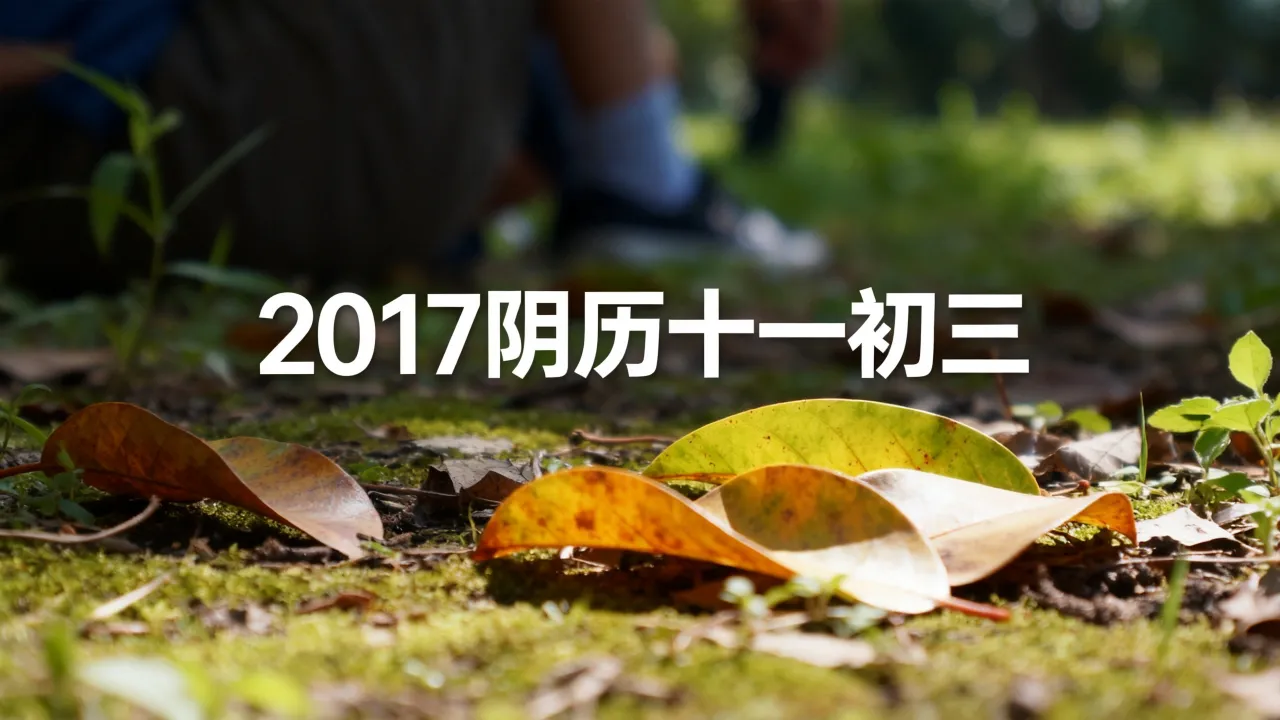 2017阴历十一初三 2017阴历十一初三