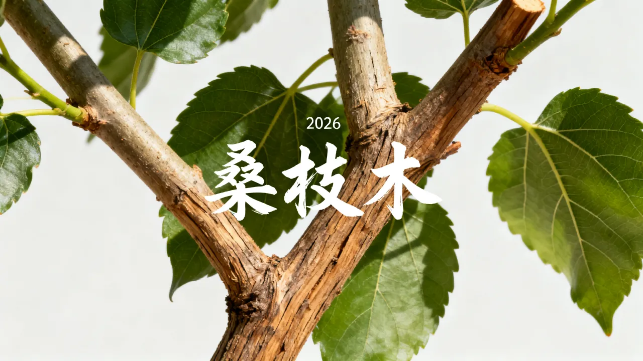 桑枝木命运怎说,桑枝木命运2026年好不好 桑枝木命运怎说,桑枝木命运2026年好不好