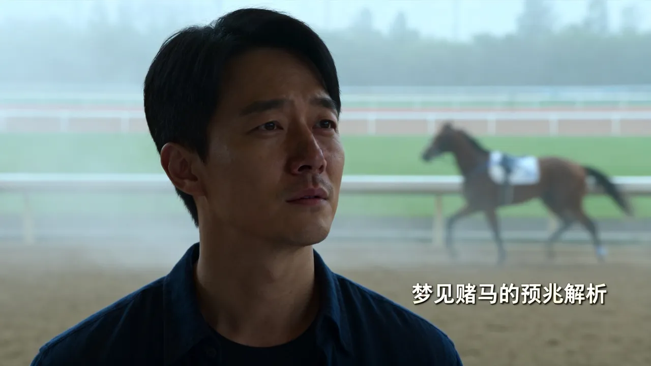 梦见赌马会有什么预兆 梦见赌马会有什么预兆
