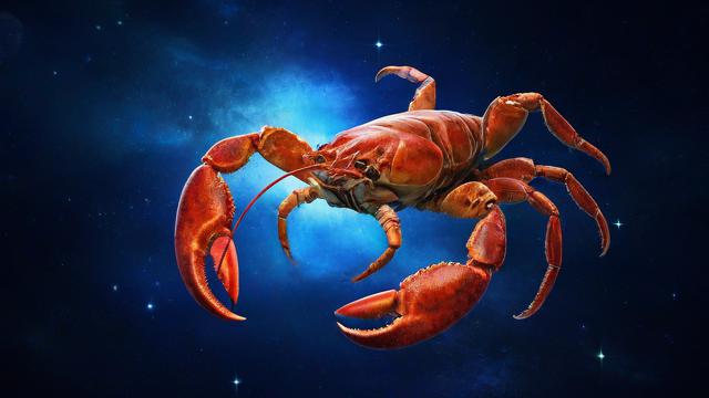 天蝎座配什么星座最好