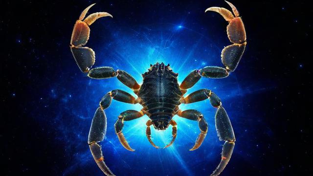 星座类型天蝎
