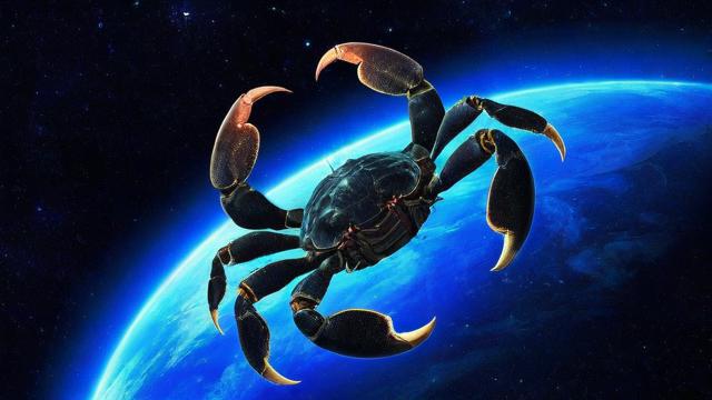 星座类型天蝎