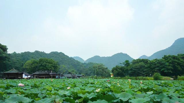 2017年农历七月二十