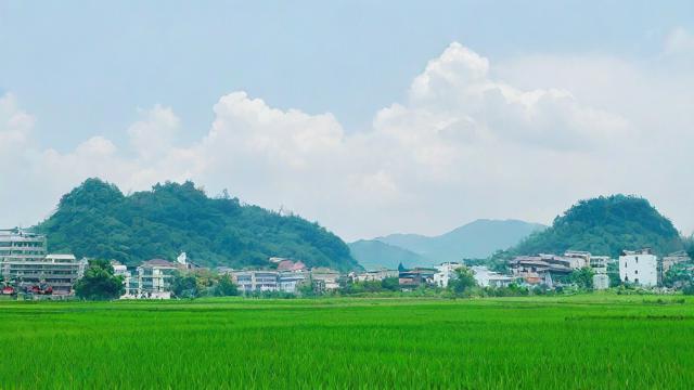 农历7月20日