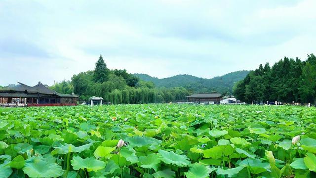 农历7月30日