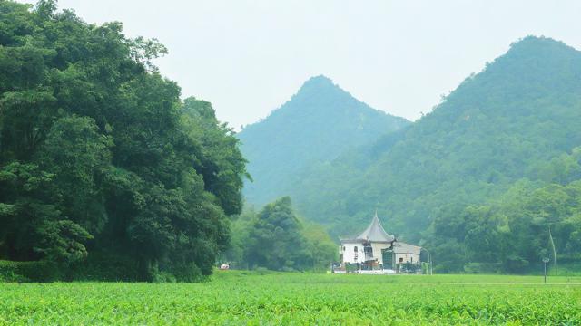 农历八月气温