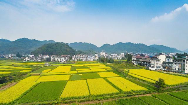 农农历2018年多少天