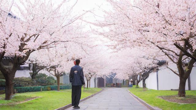 2017年4月农历