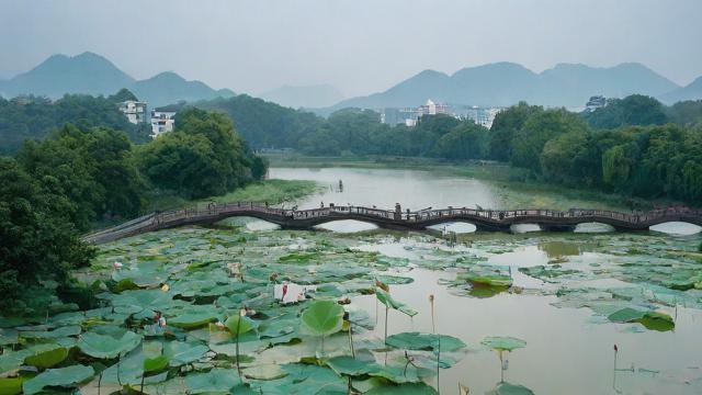 6月8号农历多少