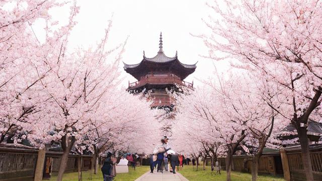 2017年农历4月好吗