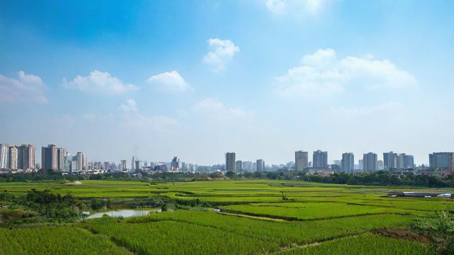 2017农历5月1日