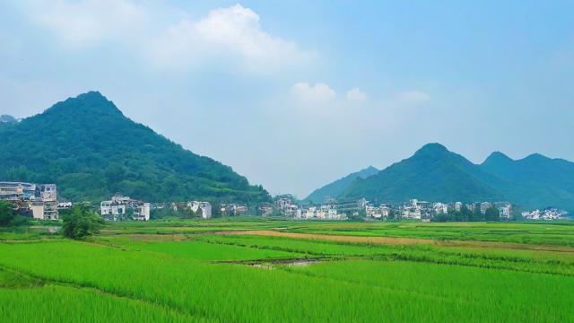 农历的六月初四