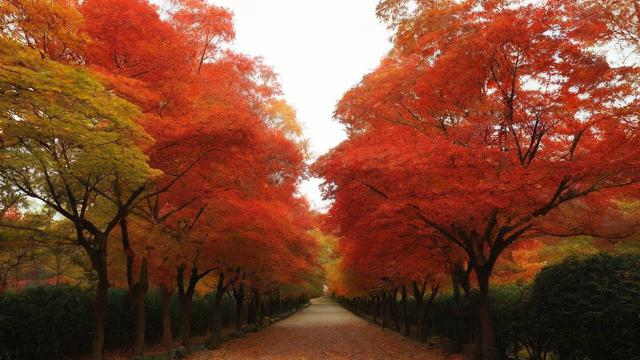 73年农历10月