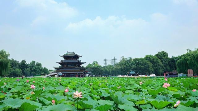 农历8月初二