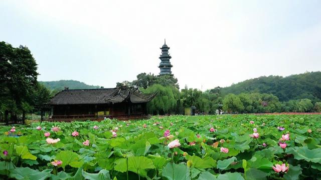 农历5月3日