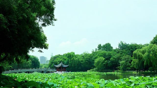 农历7月29日