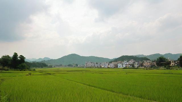 2015年农历八月二十