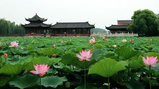 高要莲塘风水留题