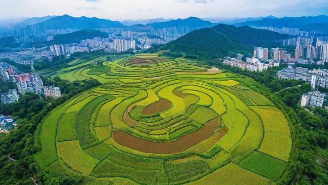 梧州风水大地图片欣赏