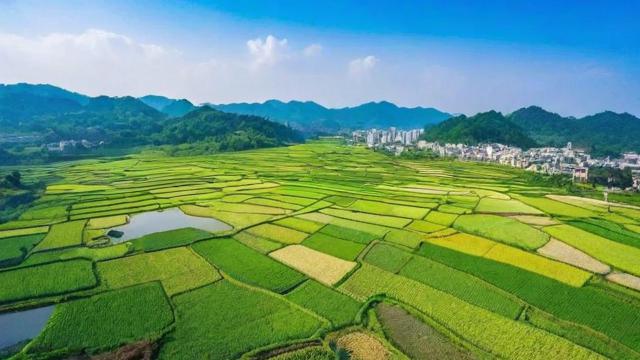 平地坟地风水怎么看