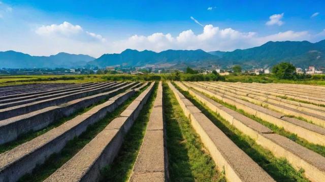 云南曲靖坟地风水图片