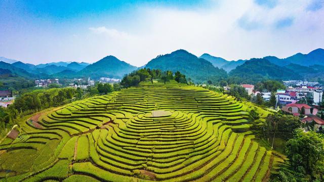 梦见看风水宝地