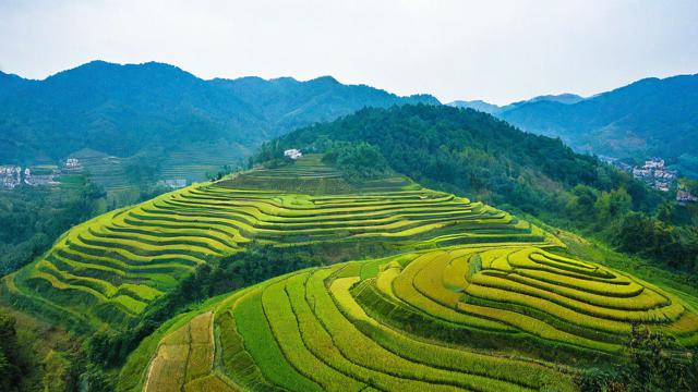 马山风水大地