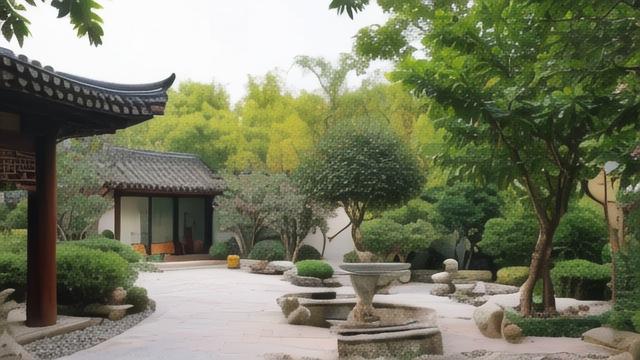 院子栽什么树风水好