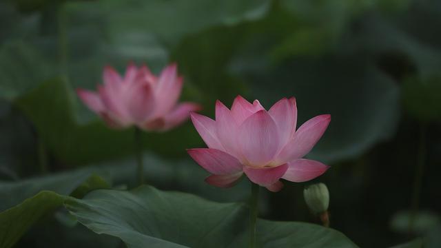 2018时侯运气