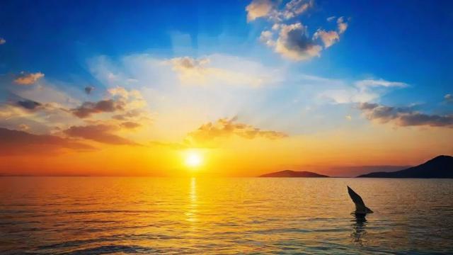 测你最近的运气