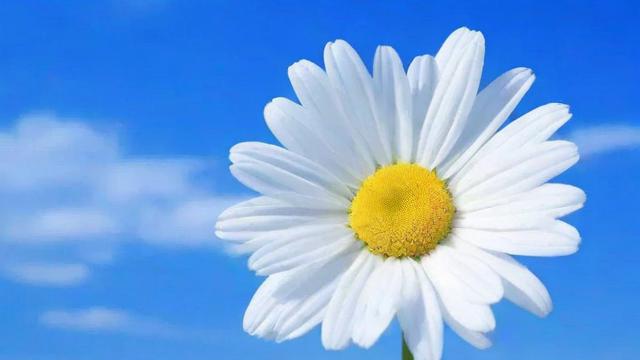 5月的运气如何