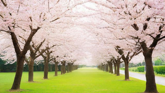 3月13日运气