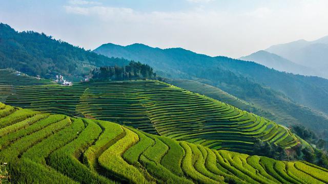 天坪座几月运气