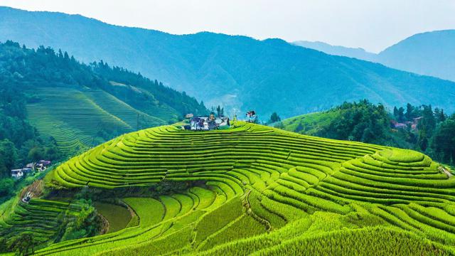 天坪座几月运气