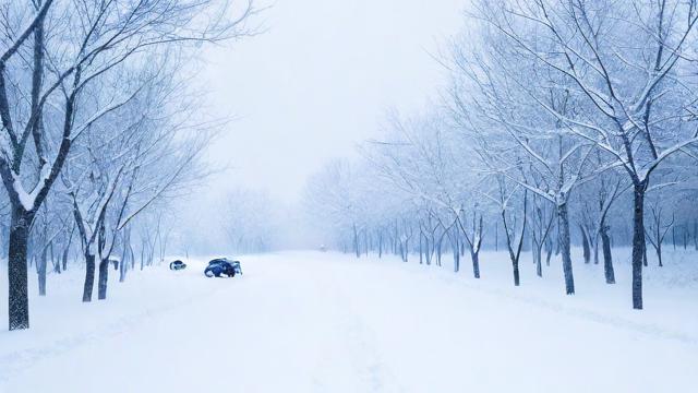 梦到大雪很厚