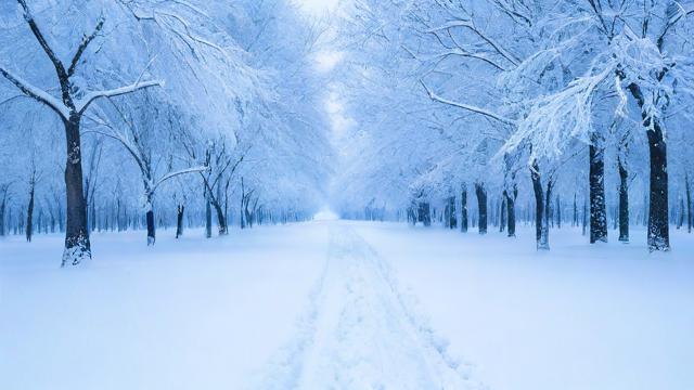 梦到大雪很厚