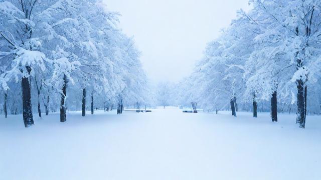 梦到大雪很厚