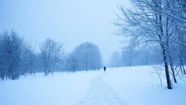 梦到雪地里行走