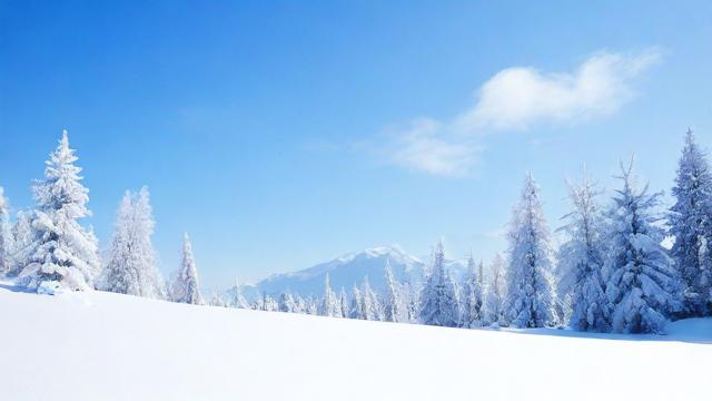 梦到厚厚的白雪