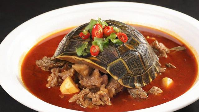 梦到乌龟肉