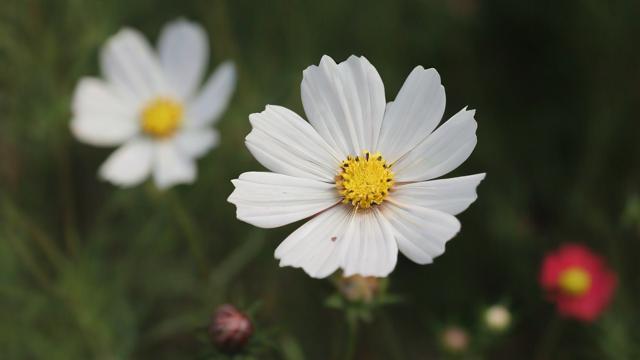 花花世界里的什么名字